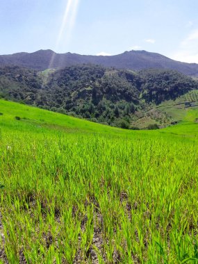 Dağlık topraklardaki dağlık arazi.
