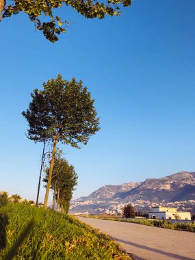 Exploring the great outdoors a majestic journey through the city side