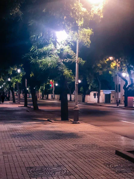 Illuminated roadside walkway through a serene of trees at night