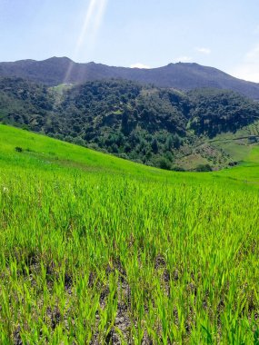 Embark on a journey through the heart of breathtaking mountain landscapes, discovering nature grandeur and serenity