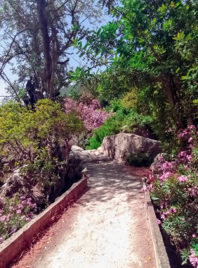 Explore the beauty of a small bridge over a valley of flowers in the heart of nature tranquil and picturesque landscapes