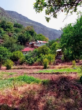 Discover the tranquil beauty of rural homes in the countryside a journey into the heart of picturesque and serene landscapes