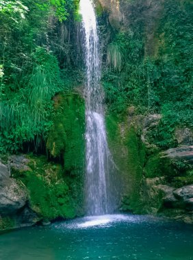 Mesmerizing beauty of a waterfall in a verdant valley - a journey into the heart of nature magnificent and serene landscapes