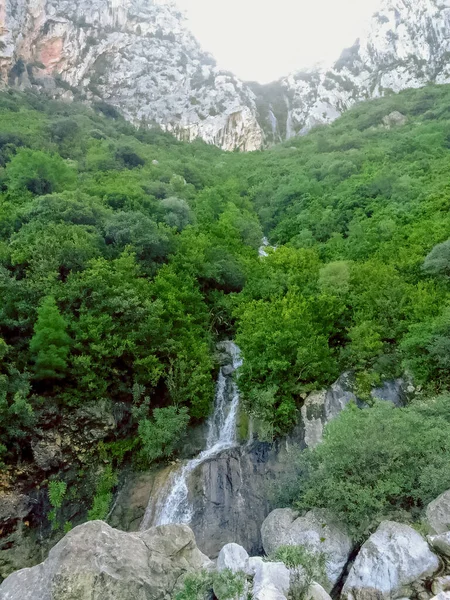 Discover the tranquil beauty of a small waterfall nestled in the mountains, a journey through the heart of nature serene and captivating splendor