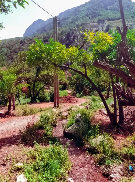 Peaceful stroll along the serene footpath in the heart of nature tranquil and picturesque countryside landscapes