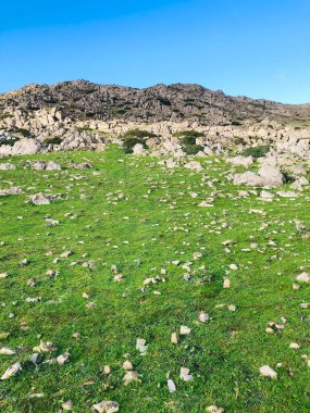 Yükselen dağların görkemli zirvelerine doğru olağanüstü bir yolculuğa çıkın. Büyüleyici bir günün büyüleyici güzelliği ve güzelliği ile ortaya çıktığı yere. Güneş ufkun ötesine baktığı andan itibaren, engebeli doruklara altın parıltısını saçar, doğa...