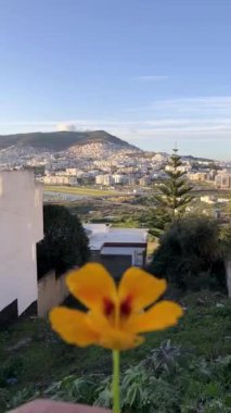 Şehir manzarasının baş döndürücü bir sabah sahnesi. Şehir rengarenk bir yer, gökdelenler, binalar sokaklar canlanmaya başladı ve insanlar günlük rutinlerine devam ediyorlar.