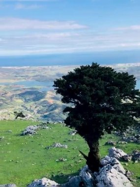 Güneş yavaşça ufuk çizgisinden yükseliyor, binaların üzerine altın bir parıltı saçıyor. Gökyüzü renklerle parlıyor, bulutlar pembe ve turuncu renkte. Bu kesinlikle izleyicinin dikkatini çekecek çarpıcı bir sahne.