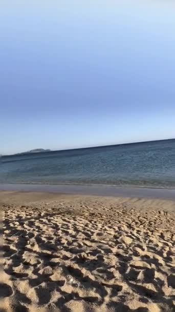 Esta Filmagem Capta Beleza Uma Praia Tranquila Com Ondas Queda — Vídeo de Stock