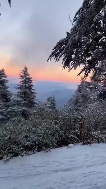 Esta Grabación Captura Impresionante Escena Nieve Los Picos Las Montañas — Vídeo de stock