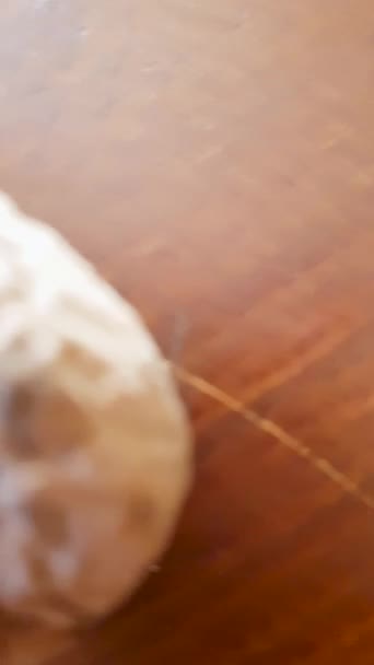 剥皮的和未剥皮的核桃仁 一种有营养和美味的小吃 — 图库视频影像