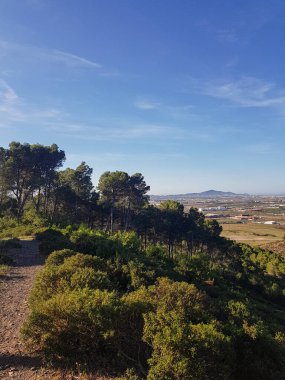 Gün ışığı ağaçların arasında dans ediyor. Güneş ışığı yerde lekeli bir etki yaratıyor ve ağaçların yapraklarının güzelliğini vurguluyor. Görüntü, doğanın gücünün bir hatırlatıcısı.