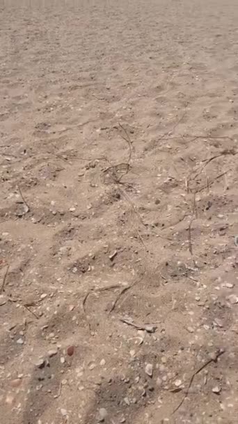 Goldener Sand Sommer Der Sand Ist Weich Und Warm Und — Stockvideo