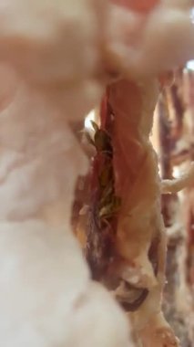 Kırsal alanda geleneksel kuzu eti kurutma metodu. Videoda ahırda ipe asılmış bir kuzu eti gösteriliyor. Kuzu kalın bir tuz tabakasıyla kaplıdır, bu da korunmasına yardımcı olur.