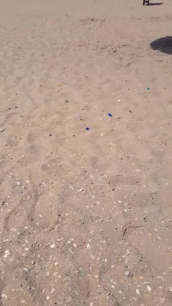 Skjønnhet Strandsand Som Preget Sjarmerende Utvalg Farger Teksturer Video Viser – stockvideo