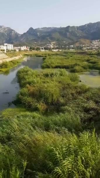 모로코 Tetouan의 계곡의 계곡은 무성하고 녹색이며 굴러가는 언덕과 테라스 필드가 — 비디오