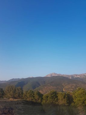 Görkemli bir çam ağacı ormanı dağ yamacını örtüyor. Ağaçlar uzun ve incedir ağaçlardaki iğneler koyu yeşil renktedir ve dağ yamacında yemyeşil bir halı sağlar.