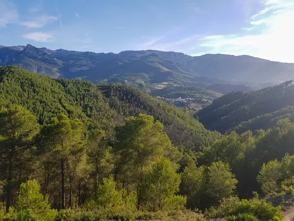 Majestic view of sunlit mountains and pine forests. The mountains are a deep blue color, and the pine trees are a variety of shades of green. The sunlight is shining through the trees