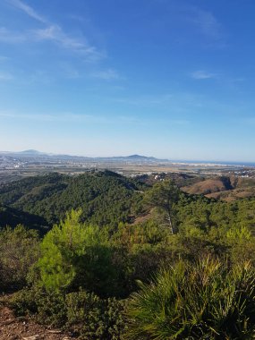 Uzakta bir şehir olan bir orman manzarasının güzelliği. Orman gür ve yeşildir, uzun ağaçları ve çeşitli bitkileri vardır. Şehir dağların eteklerinde yuva yapmış durumda.
