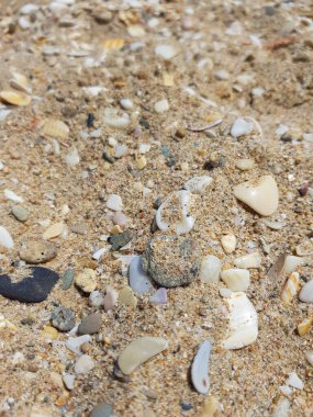 Altın kum plajının güzelliği. Kum parlak sarı bir renktir ve mükemmel bir şekilde pürüzsüzdür.