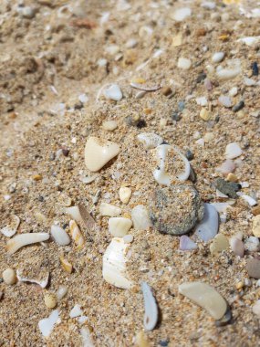 Plajda çekilen, gün ışığında parıldayan temiz altın kum.