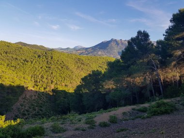 Görkemli bir dağ sırası yemyeşil çam ormanları ve yuvarlanan tepelerle kaplıdır. Dağlar koyu yeşil bir renktir ve çam ağaçları canlı yeşil bir renktir. Dağlar serpildikçe serpildiği