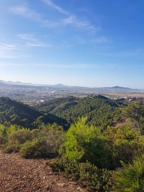 Ormanda büyülü bir an. Güneş ağaçların üzerinde parlıyor, yerde noktalı bir etki yaratıyor. Orman kuş cıvıltılarıyla dolu ve hava çam iğnelerinin kokusuyla dolu.