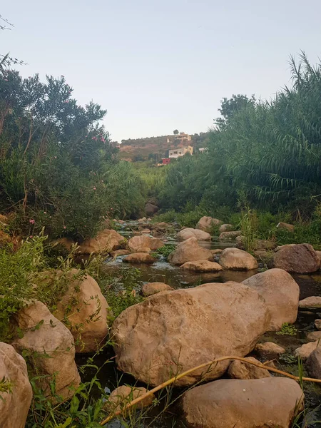 Kırsalda nefes kesici bir vadi manzarası. Vadi gür ve yeşildir ve dağlar uzak bir yerde yükselir. Fotoğraf doğal ortamın güzelliğini ve huzurunu yakalıyor.