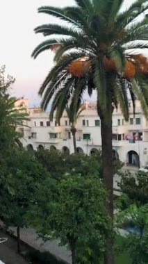 Bir balkondan kentsel bahçe manzarası