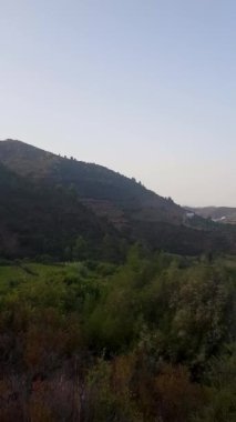 Gece boyunca yağmur yağar, bu görüntü gece düşen yağmurun sesini kaydeder. Yağmur yumuşak ve naziktir. Sakinleştirici ve rahatlatıcı bir atmosfer yaratır..