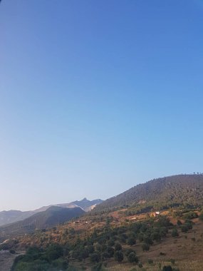 Zeytin ağaçlarıyla benekli yuvarlanan tepelerden oluşan kırsal bir manzara. Görüntü hem güzel hem de huzurlu, ve kırsal bölgelerdeki zeytin ağaçlarının güzelliğini yakalıyor.