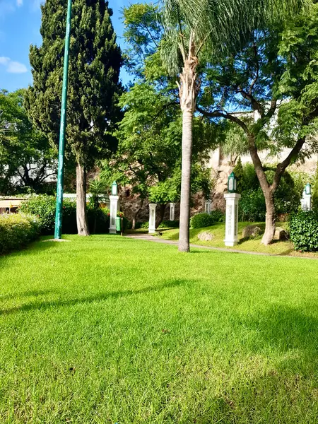 stock image Nature's emerald carpet unfurls in the city's embrace, Breathe in the fresh air as you step into this urban oasis, where emerald grass unfurls like a vibrant carpet beneath your feet. Sunlight dances