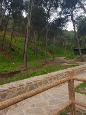 Parkın göbeğindeki muhteşem çam ağaçlarının arasından geçen büyüleyici patikayı keşfederken büyüleyici bir macera yaşarsınız. Güneş ışığı dalların arasından süzülür, büyüleyici bir ışık ve gölge dansı yapar.