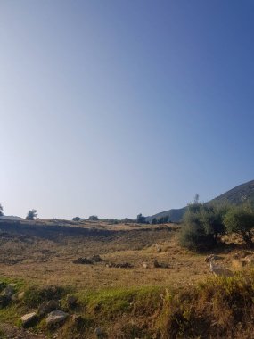 Güneş ışığı ölü çimenlere yansıyor. Çim koyu kahverengi bir renktir ve tamamen hareketsizdir. Güneş ışığı çimenler üzerinde parıltılı bir etki yaratır.,