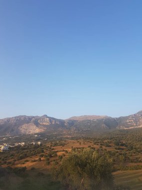 Akdeniz manzarasındaki uzak zeytin ağaçlarının kırsal manzarasının güzelliği. Zeytin korulukları canlı yeşil bir renktir ve gökyüzüne karşı siluetlenmişlerdir.