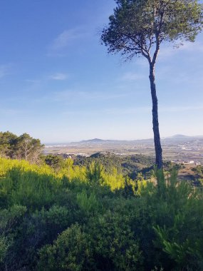 Altın ışıkla yıkanmış bir dağ silsilesinin çarpıcı görüntüsü. Huzurlu ve huzurlu bir sahne, rahatlama ve meditasyon için mükemmel.