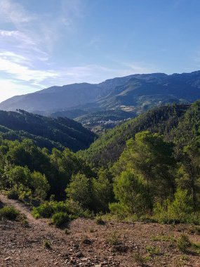 Güneş ışığıyla yıkanmış çam ormanlarının ve sıradağların muhteşem manzarası. Dağlar koyu mavi renktedir ve çam ağaçları yemyeşil bir renktir. Güneş ışığı sahneyi aydınlatıyor.