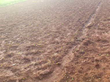 Sürülmüş bir arazide güneş ışığının yansımaları. Toprak sürme alanı kahverengi ve yeşilliklerden oluşur ve güneş ışığı bulutlarla karışınca yüzeyde parıldayan bir etki yaratır.