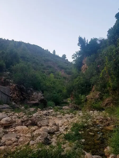 stock image A hidden gem waiting to be discovered inside the valley. The gem is a valley surrounded by lush vegetation and towering mountains. The photo captures the beauty and serenity of the natural setting