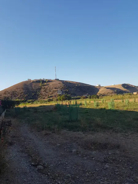 Güneşle sırılsıklam olmuş kırsal alanda, Acres Tranquil 'in üzerinde altın gün batımı. Batan güneşin altın rengi dönümleri aydınlatır, yumuşak arazide uzun gölgeler bırakır. Uzakta küçük bir zirve