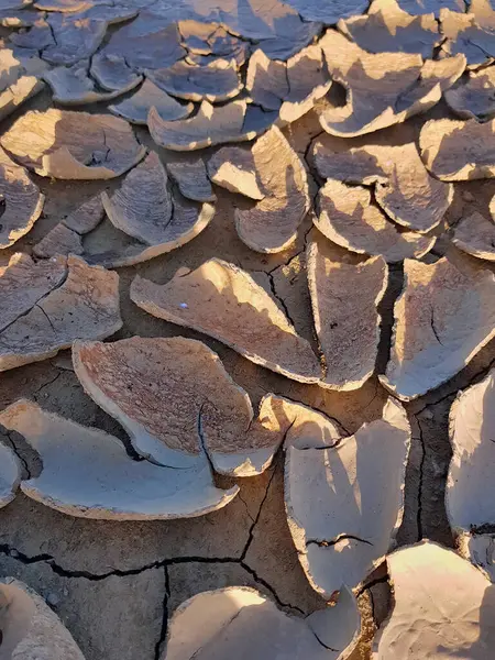 stock image Intricate details of parched earth, revealing a network of deep cracks caused by severe dehydration, The suns relentless heat has fractured the soil, creating a mesmerizing that  tell a story of arid