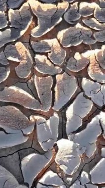 Susuz kalmanın yol açtığı derin çatlaklardan oluşan bir ağı ortaya çıkaran kavrulmuş toprağın karmaşık detayları. Güneşin amansız sıcaklığı toprağı yardı ve kurak, kuru toprak dokusu hakkında büyüleyici bir hikaye yarattı.,