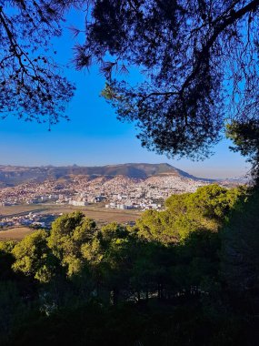 Çam ağaçlarıyla çevrili Tetouan şehrinin manzarası ve eşsiz bir gözlem noktasından Tetouan 'ın doğal güzelliği.