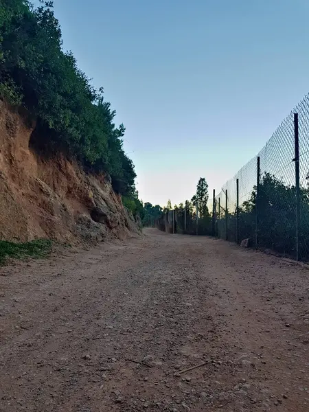 stock image Gravel road flanked by a charming rustic fence. The image evokes a sense of peaceful solitude, appreciate the beauty of the countryside. The path is beautifully surrounded by the lush greenery.