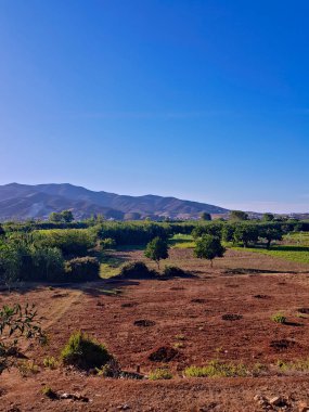 Bir dönüm yemyeşil tarla ve ağaçlarla ve dev sazlıklarla yayılmış bir dönüm toprak içeren nefes kesici bir kırsal manzara.