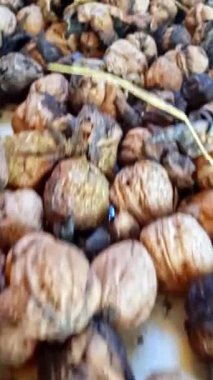 Yerdeki birbirine sıkı sıkıya bağlı ceviz kümelerine yerleştirilmiş pürüzsüz, süpürücü vuruşlar, kabuğu soyulmamış cevizlerle doğal kabuklarıyla örtülü olanlar arasındaki zıtlığın canlı ayrıntıları..