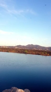 Suyun üzerinde zarif bir şekilde süzülen kuş sürülerinin bulunduğu bir nehir karaya çıkmak için karşı kıyıya doğru yol alıyor..