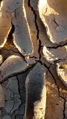 Topraktaki şiddetli kuraklığın dramatik etkileri, geniş çaplı çatlama ve toprağın susuzluğu