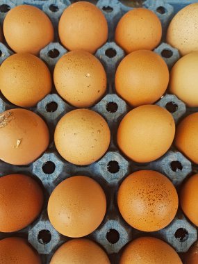 Tavuk yumurtaları canlı bir çizgi film tabağında inanılmaz bir optik sırayla dizilir. Renkli desenleri ve tuhaf tasarımı sergiliyor