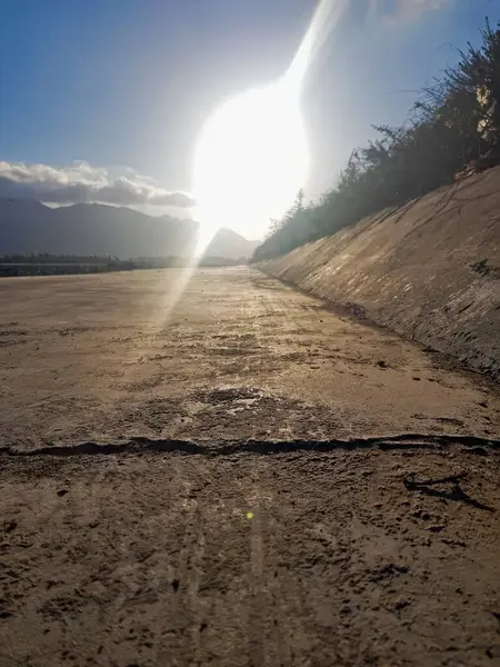 Doğa günbatımında uzun bir yol boyunca büyüleyicidir. Yerin daha yakın bir görüntüsünde, güneş yolu sıcak altın ışıkla aydınlatırken gökyüzü parlıyor ve zemin hakkında samimi bir perspektif oluşturuyor..
